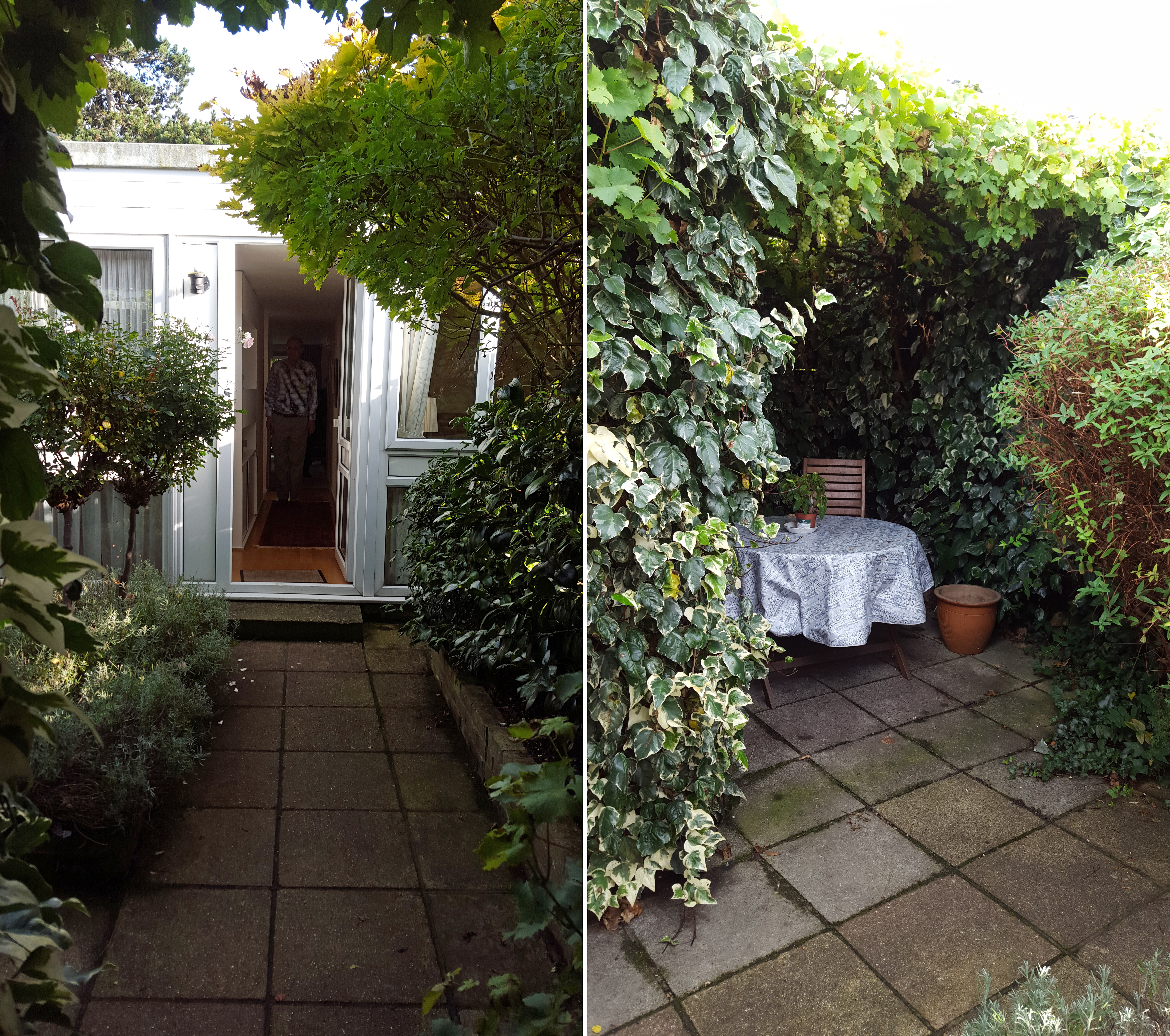 front garden