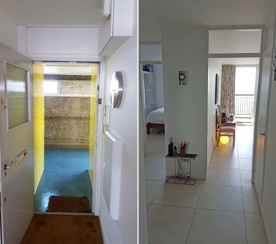 trellik living room 2